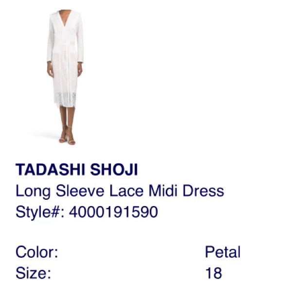 Tadashi Shoji Vow Renewal, 2nd Marriage, Anniversary Party, or Wedding Dress - Picture 3 of 14